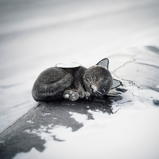 Maceta de Gatito Negro Durmiendo